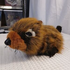 Discovery‎ Channel Wild Babies Wooster Porcupine Plush Stuffed Animal Toy 12.5"L